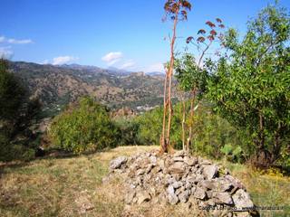 n Michele Forza Agro-31-08-2015 09-16-04